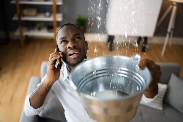 Best Water damage restoration near me  in Brooksi, DE
