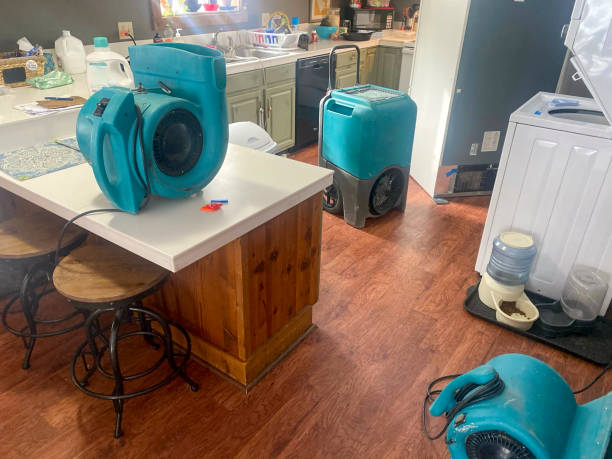 Best 24/7 water damage repair  in Brooksi, DE