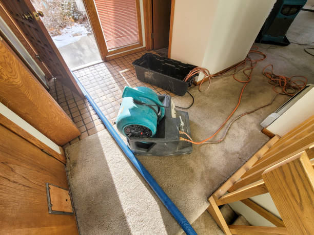Professional Water damage restoration in DE