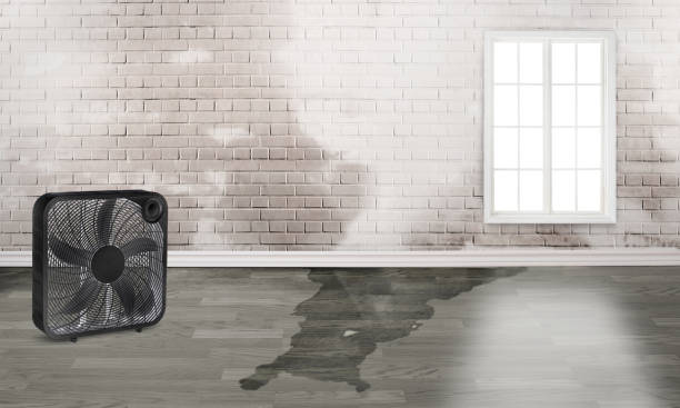 Best Residential water damage restoration  in Brooksi, DE