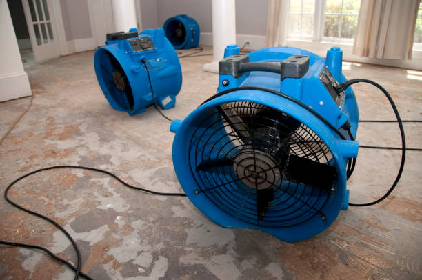  Brooksi, DE Water damage restoration Pros