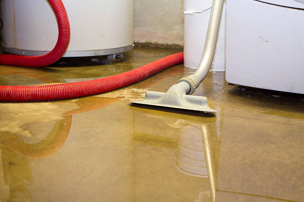 Best Flood damage cleanup  in Brooksi, DE