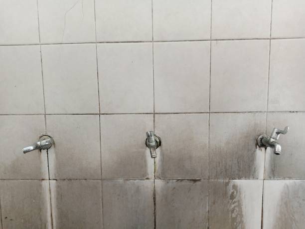 Best Sewage cleanup and water damage restoration  in Brooksi, DE