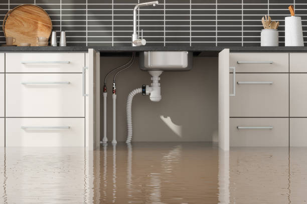 Best Professional water damage repair  in Brooksi, DE