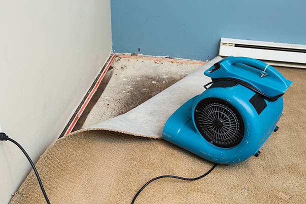 Best Flooded house restoration  in Brooksi, DE